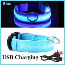 LED Dog Collar for Night Walks - USB Rechargeable